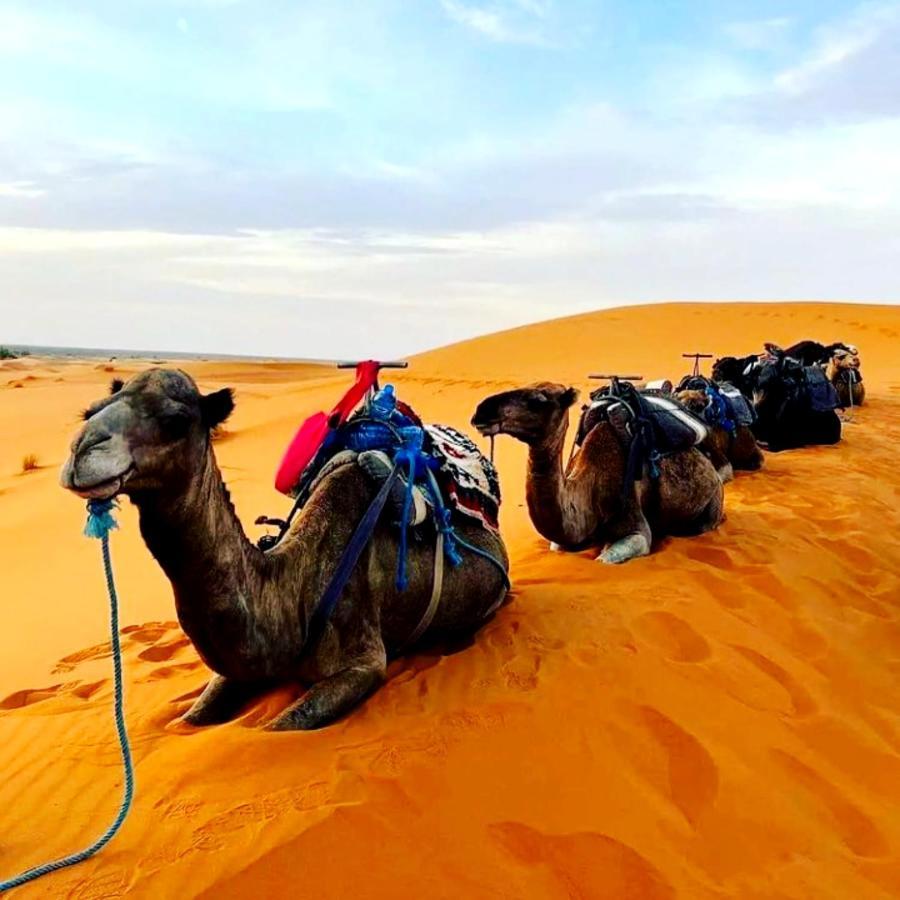 Bedouin Desert Camp Merzouga Buitenkant foto